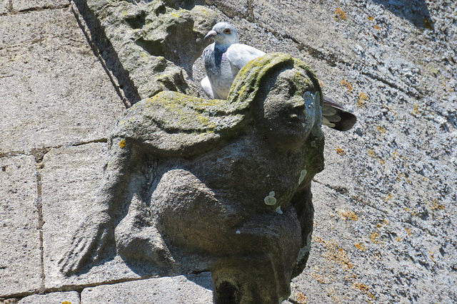 heckington church, lincs.