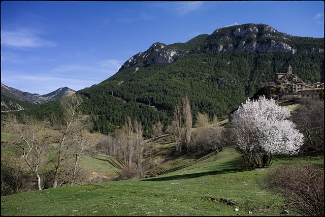 La llum s'arronsa