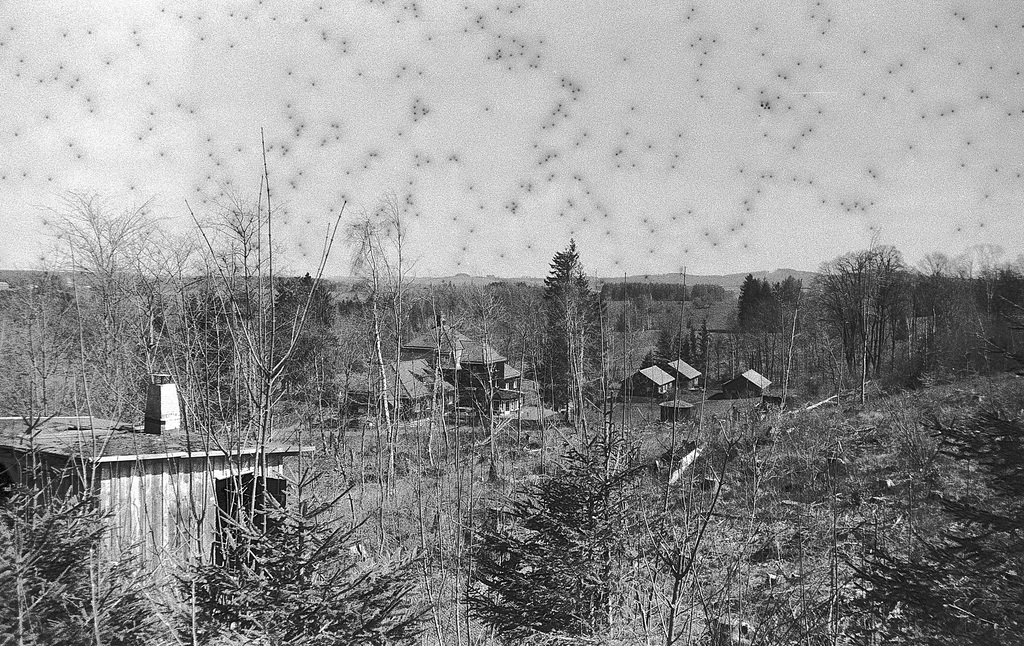 "Wald", Benneckenstein, Film