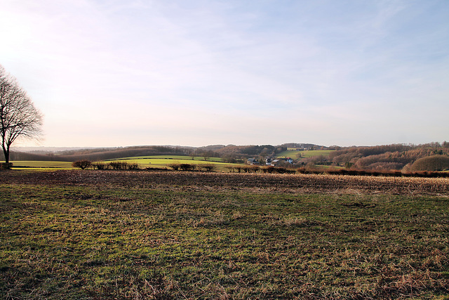 Blick zum Tal der Brambecke (Ennepetal-Königsfeld) / 27.01.2024