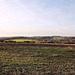 Blick zum Tal der Brambecke (Ennepetal-Königsfeld) / 27.01.2024