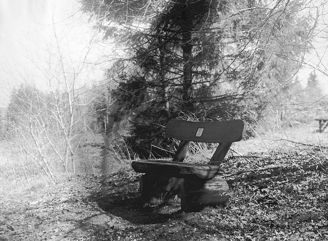 "Wald", Benneckenstein, Film