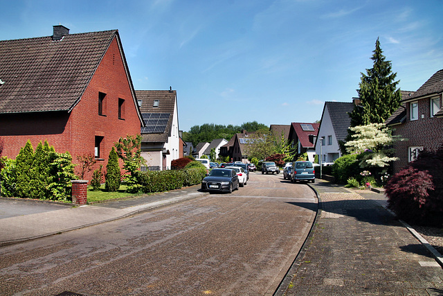 Siegfriedstraße (Bottrop-Egen) / 11.05.2024