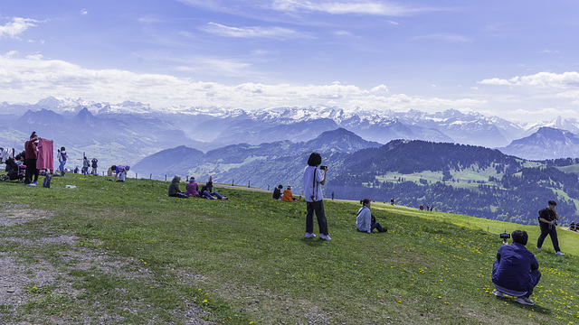 alleine ist man selten auf Rigi-Kulm (© Buelipix)