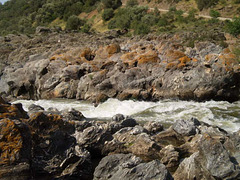 Rapids right before cascades.