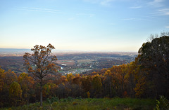 A Shenandoah View