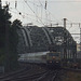 BÖ0005560