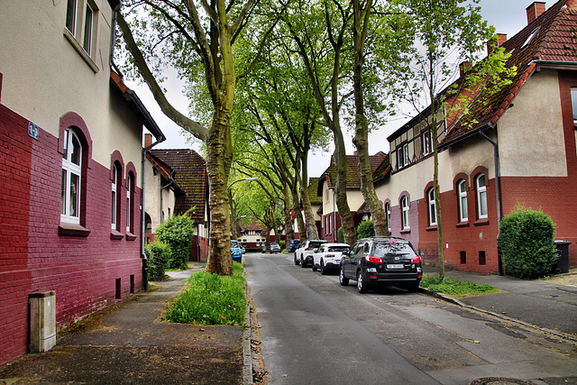 Marsstraße (Kolonie Landwehr, Dortmund-Bövinghausen) / 20.05.2023