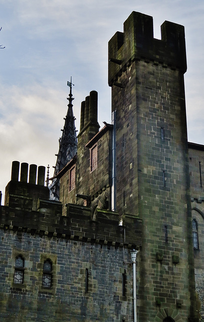 cardiff castle (217)