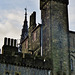 cardiff castle (217)