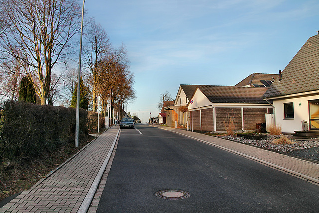 Spreeler Weg (Ennepetal-Königsfeld) / 27.01.2024