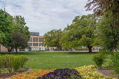 136-365, Blick in den Stadthallenpark 136-365, Blick in den Stadthallenpark