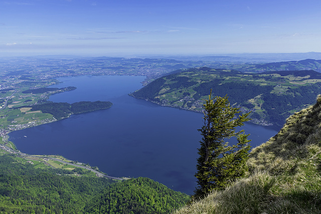 Rigi - Blick nach Norden über den Zugersee (© Buelipix)