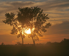 september 8 septembre 2011
