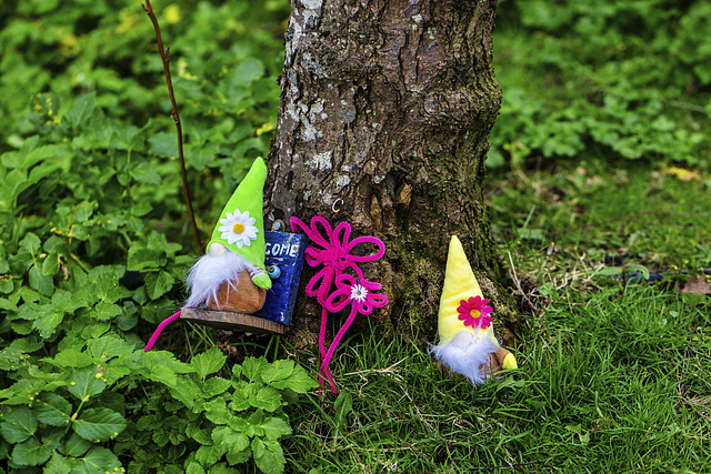 Dumbarton Fairy Trail