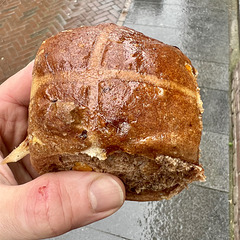 Hot cross bun