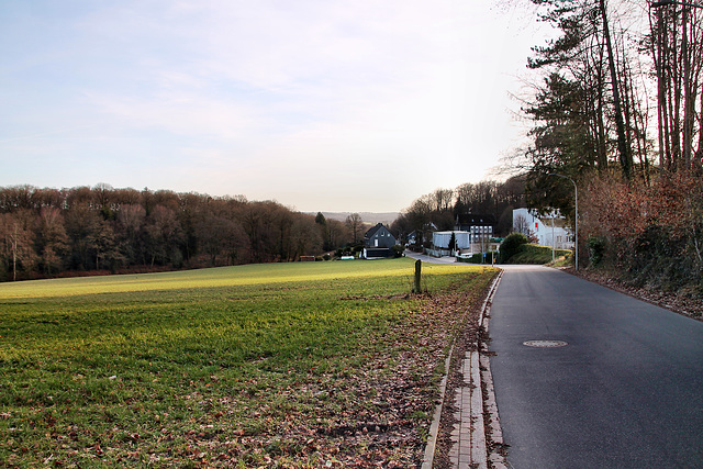 Spreeler Weg (Ennepetal-Königsfeld) / 27.01.2024