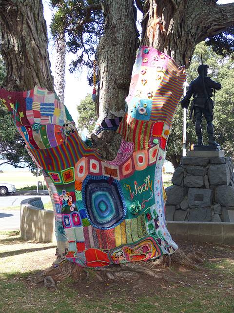 Devonport Woolly Tree - 23 February 2015