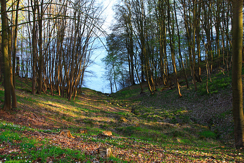 Lübstorf, Blick aus dem Schlosspark Wiligrad auf den Schweriner See