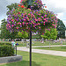 Stratford-upon-Avon, A Flower Bed as a Tree
