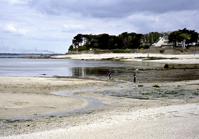 Muschelsucher am Strand