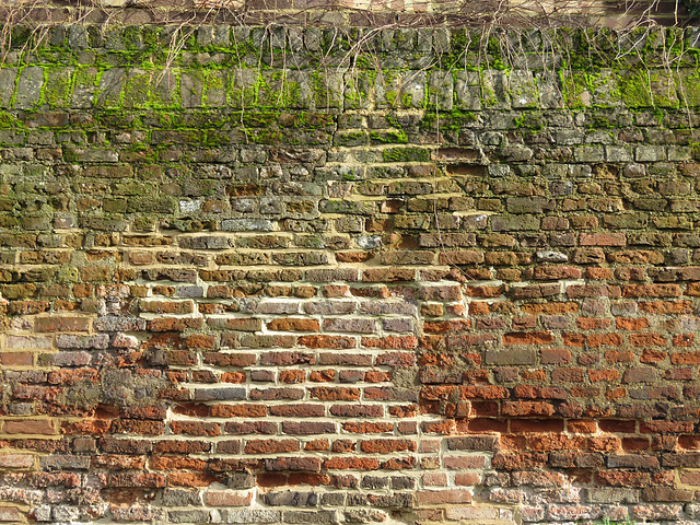 scanty remains of c16 theobalds palace, herts (1)