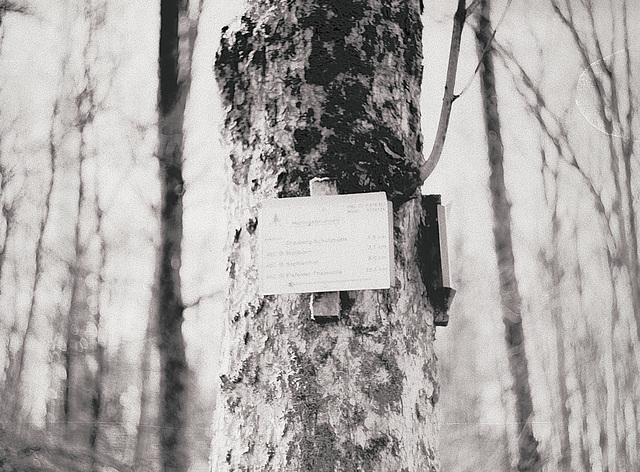 "Wald", Benneckenstein, Film