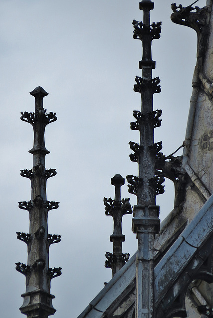 cardiff castle (221)