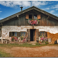 Hitscheralm Hitscheralm