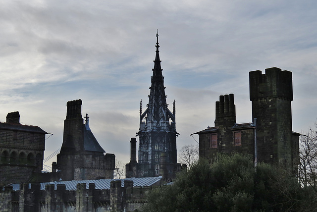 cardiff castle (227)