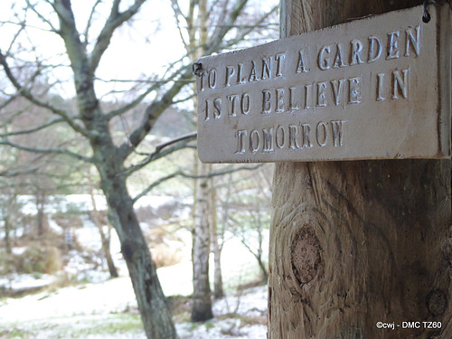 To plant a garden...