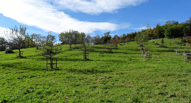 Feldkirch Österreich