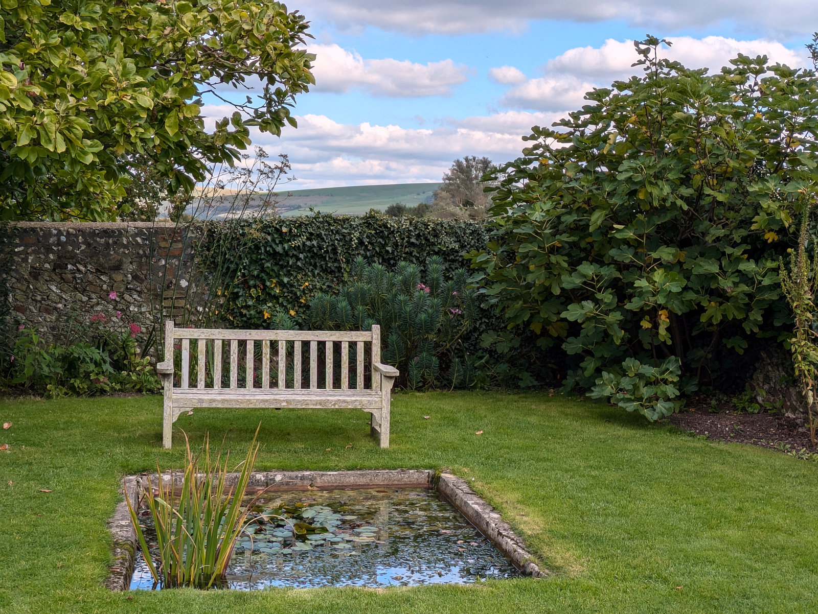 PXL 20241004 120208997-001-Bench & Pond