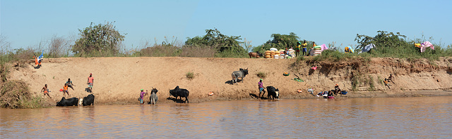 Madagascar, Everyday Life on the Left Bank of the Tsiribihina River