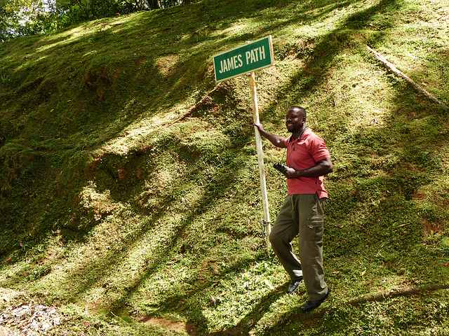 Gladwyn James, Main Ridge Forest Reserve, Tobago