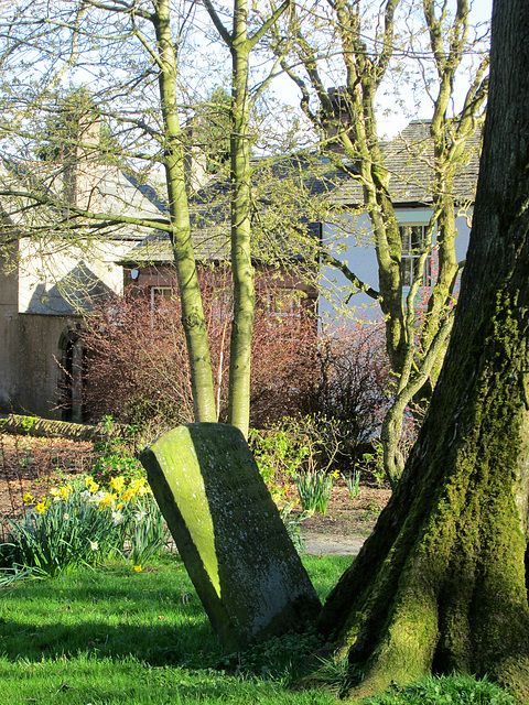 Grave and tree.