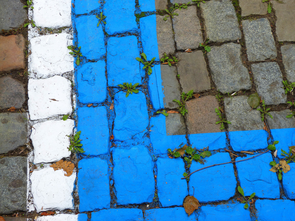 ... zone bleue ... ... zone bleue ...