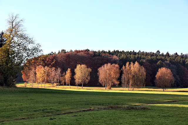 goldene Novembertage