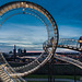 Tiger & Turtle