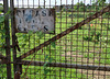 Kent House Allotments