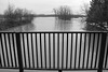 HFF et Black & white friday