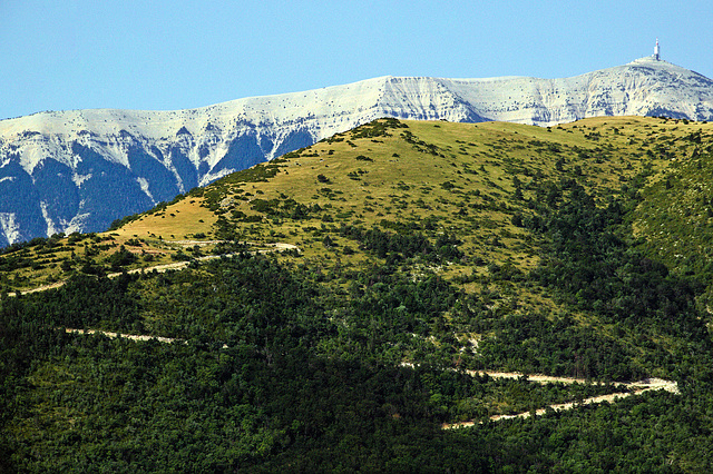 Montagne de Banne. ( Drôme ).