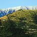 Montagne de Banne. ( Drôme ).