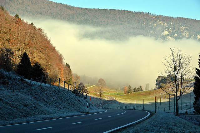 Zwischen Schatten-Kälte,  Licht-Wärme und dem Nebel der wieder Kalt und düster machen wird