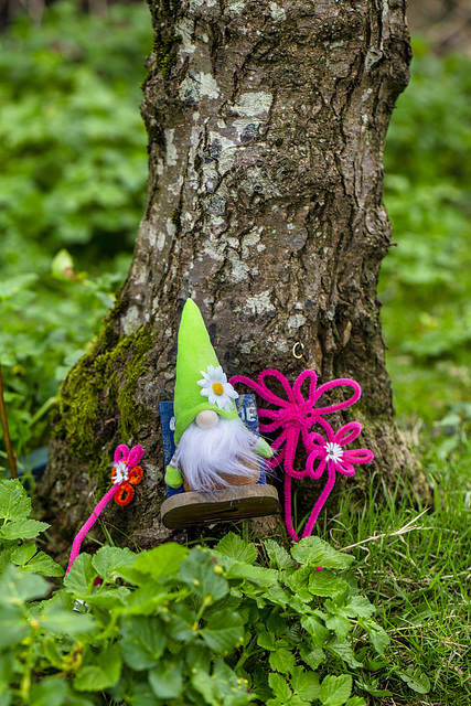 Dumbarton Fairy Trail