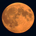 Supermoonrise (before eclipse)