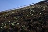 Trollsteinen Hike