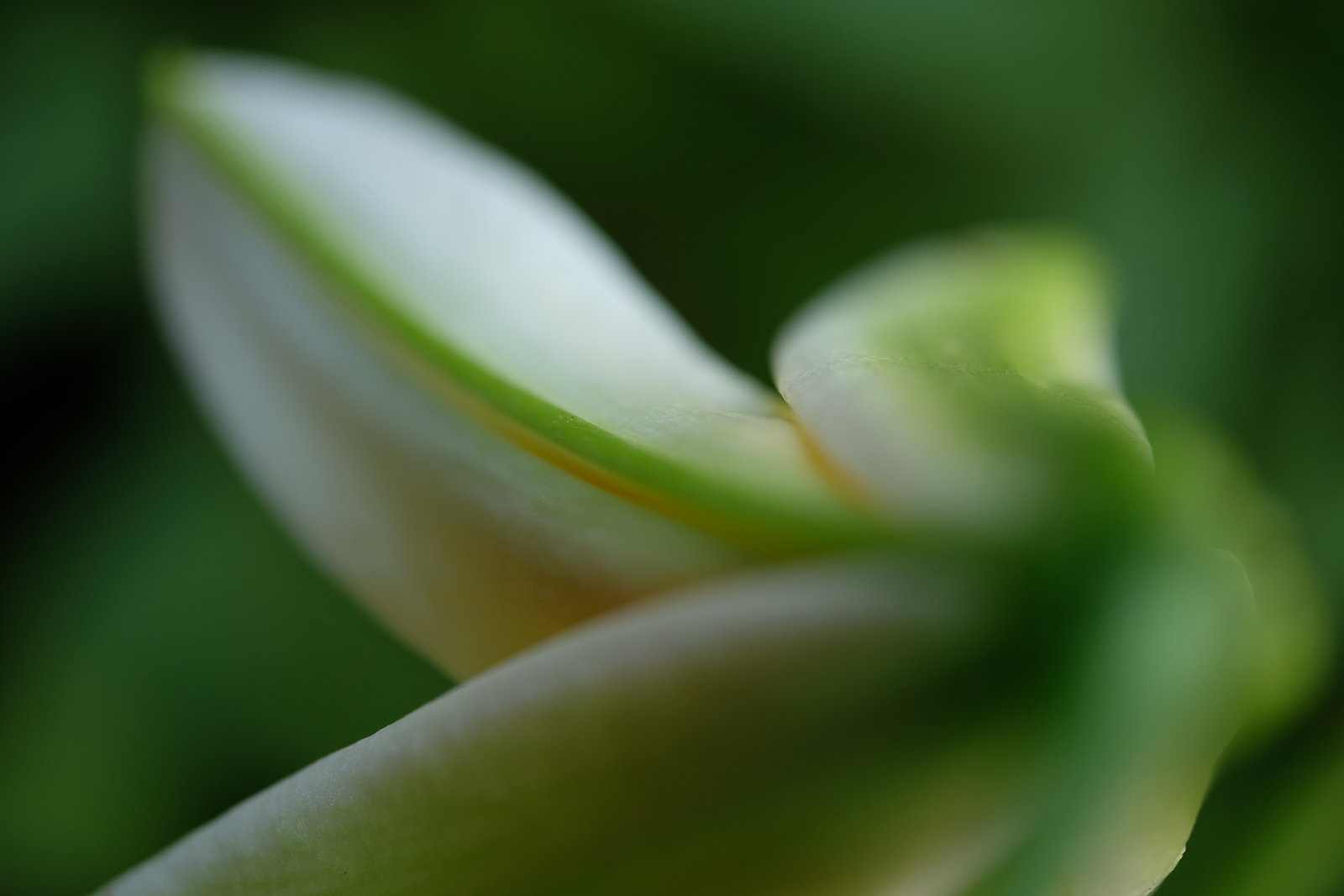 DSCF0686