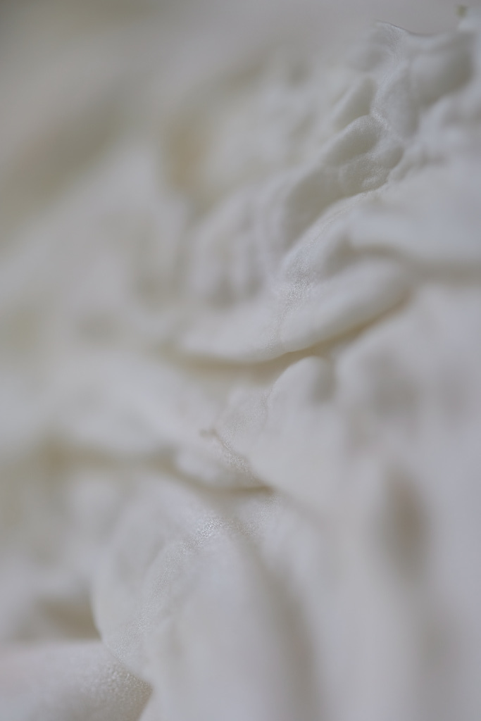 DSCF9558