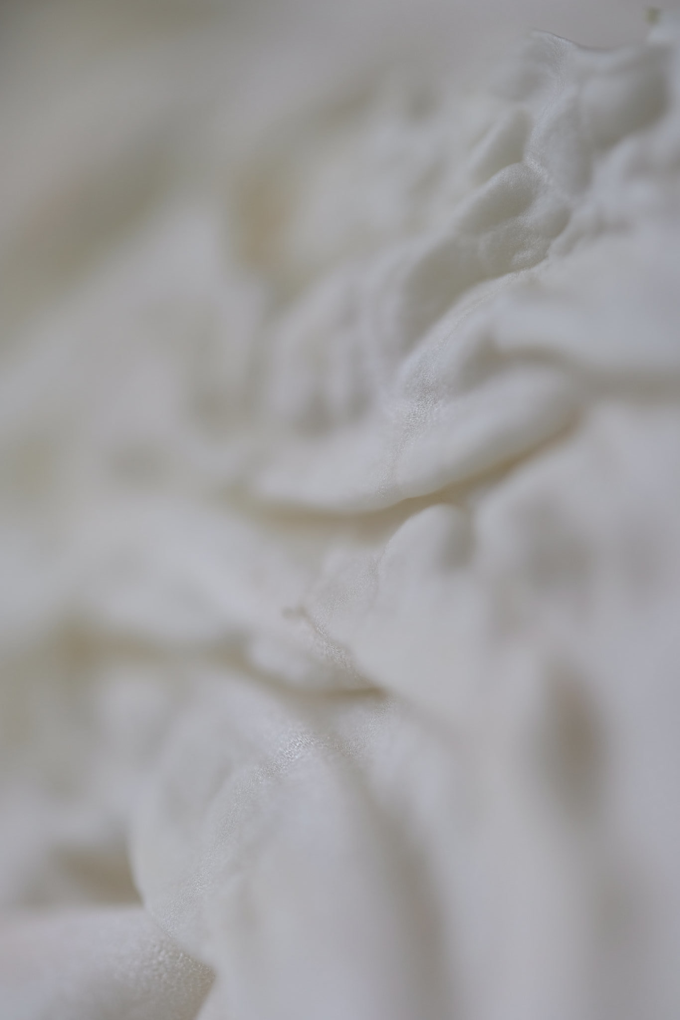 DSCF9558